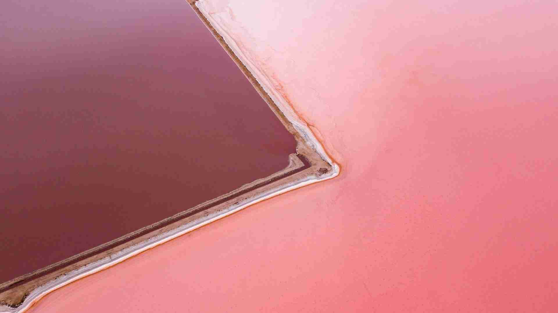 Hutt Lagoon (Pink Lake) by Dylan Shaw