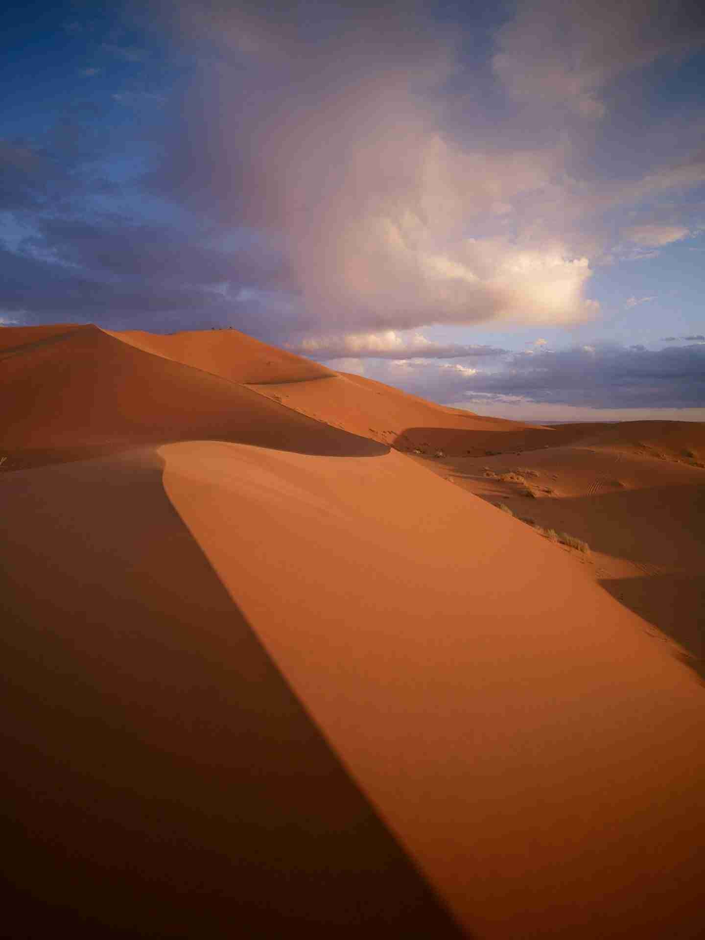 Merzouga Desert