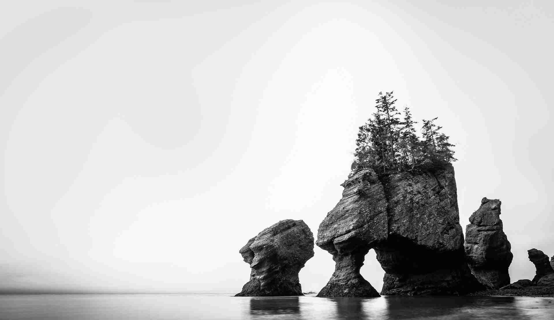 Hopewell Rocks Provincial Park by Tim Foster