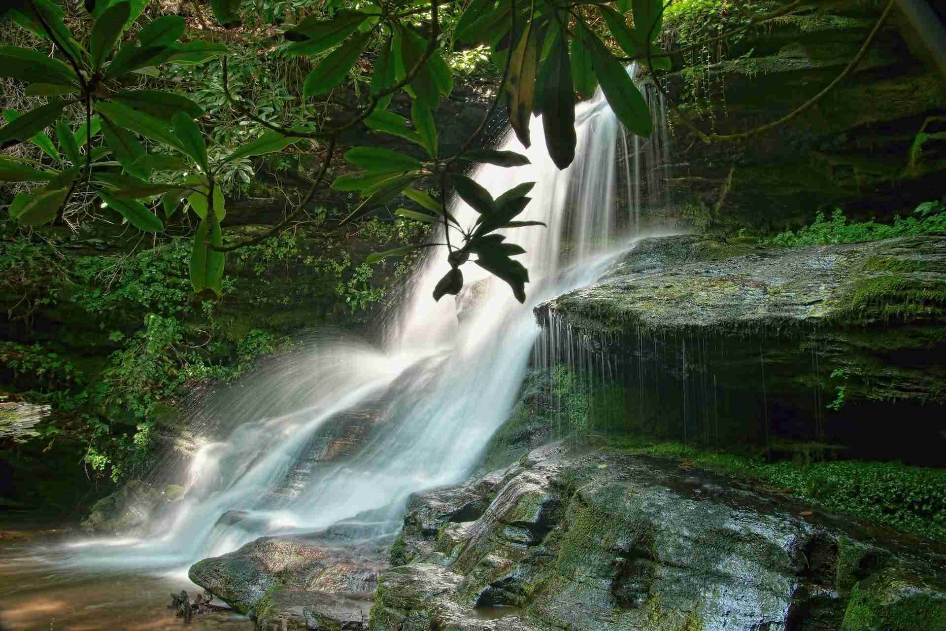 Becky Branch Falls by James Morden