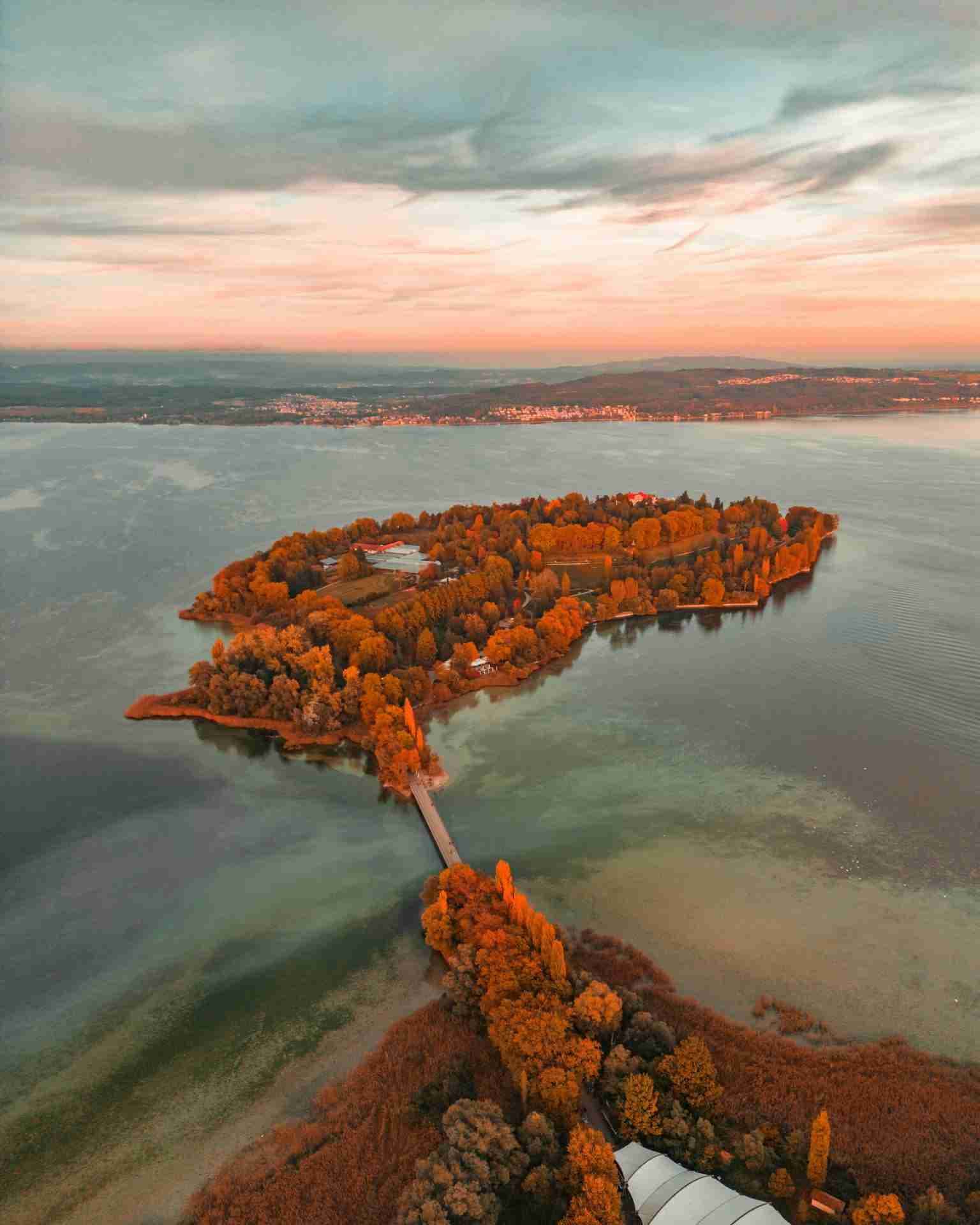 Mainau Island by Dana Gärtner