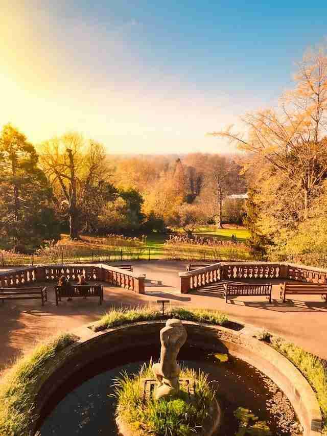 Terrace Gardens, Richmond by Edson Rosas