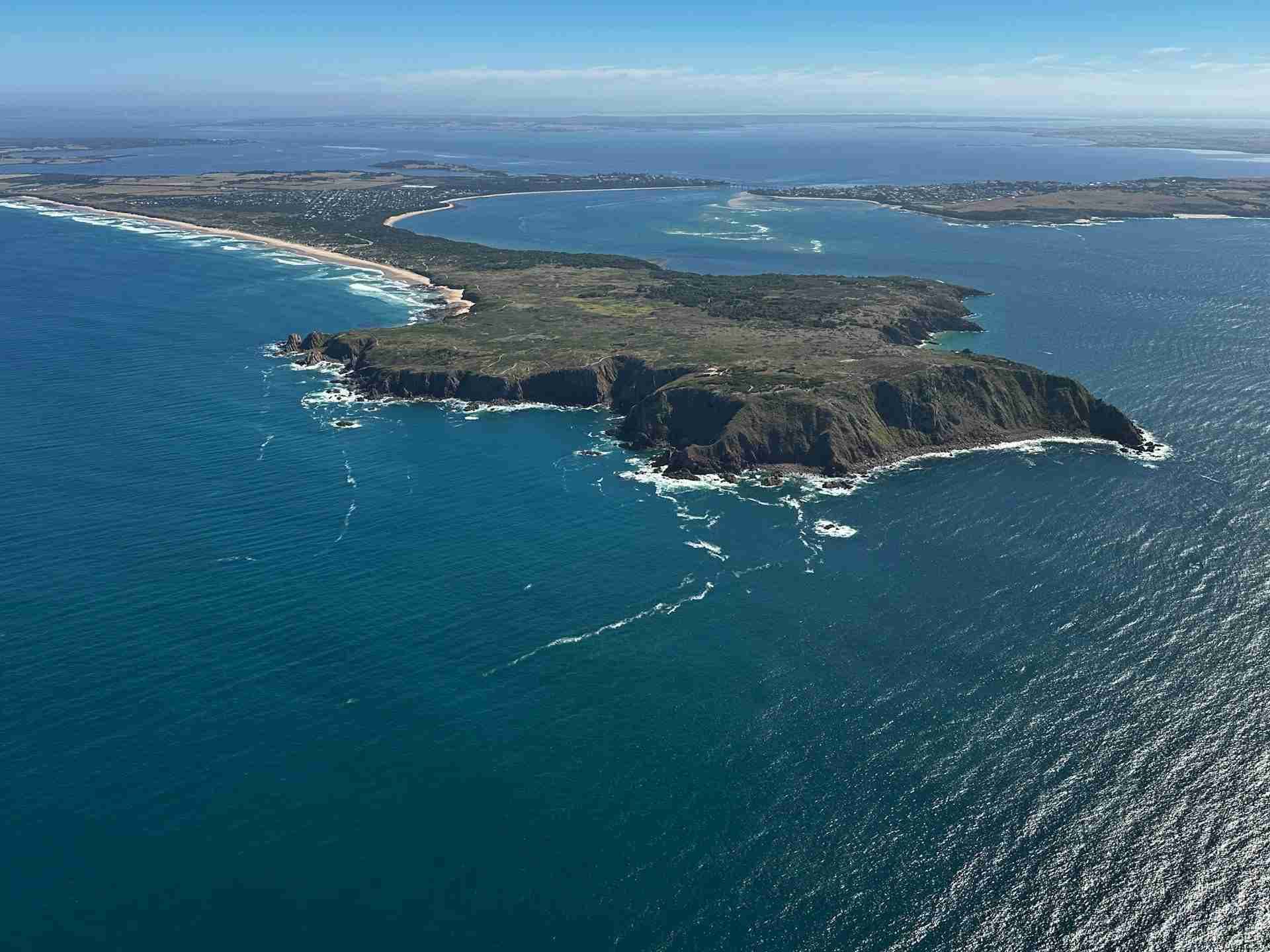 Cape Woolamai Beacon by Haydn