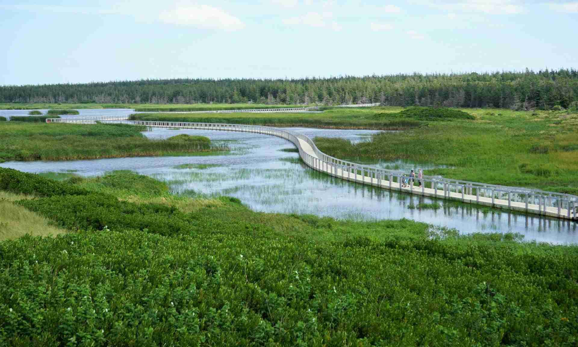 Greenwich, Prince Edward Island National Park