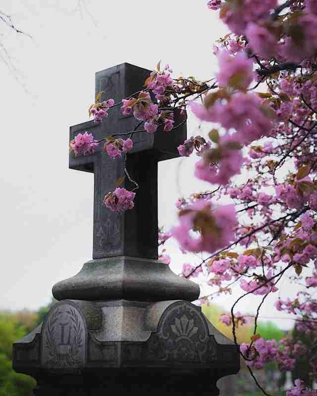 Congressional Cemetery