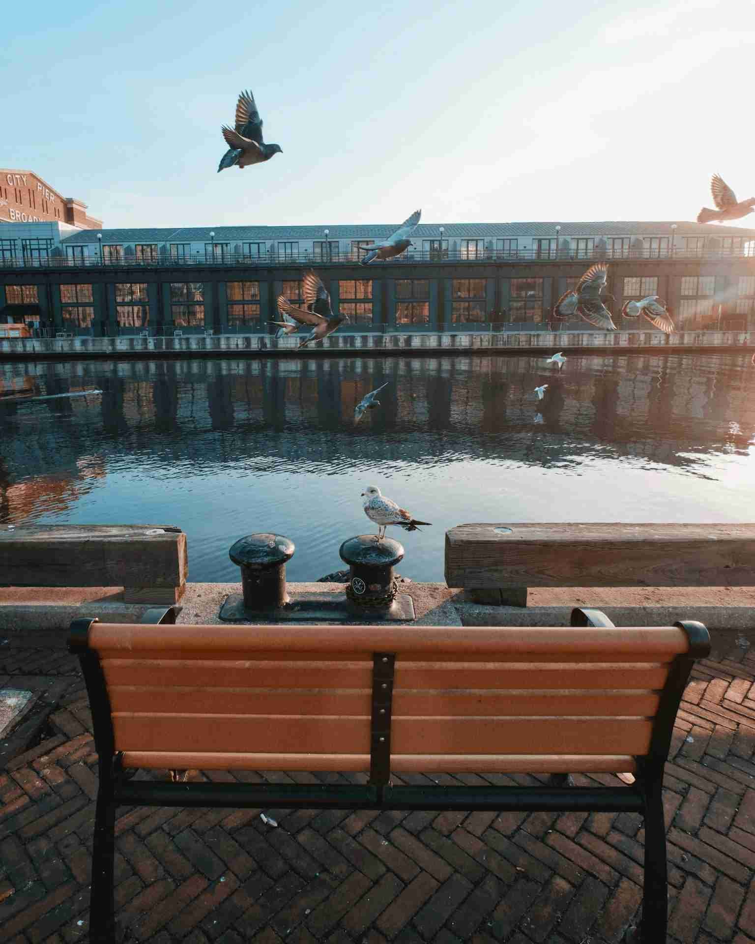 Broadway Pier