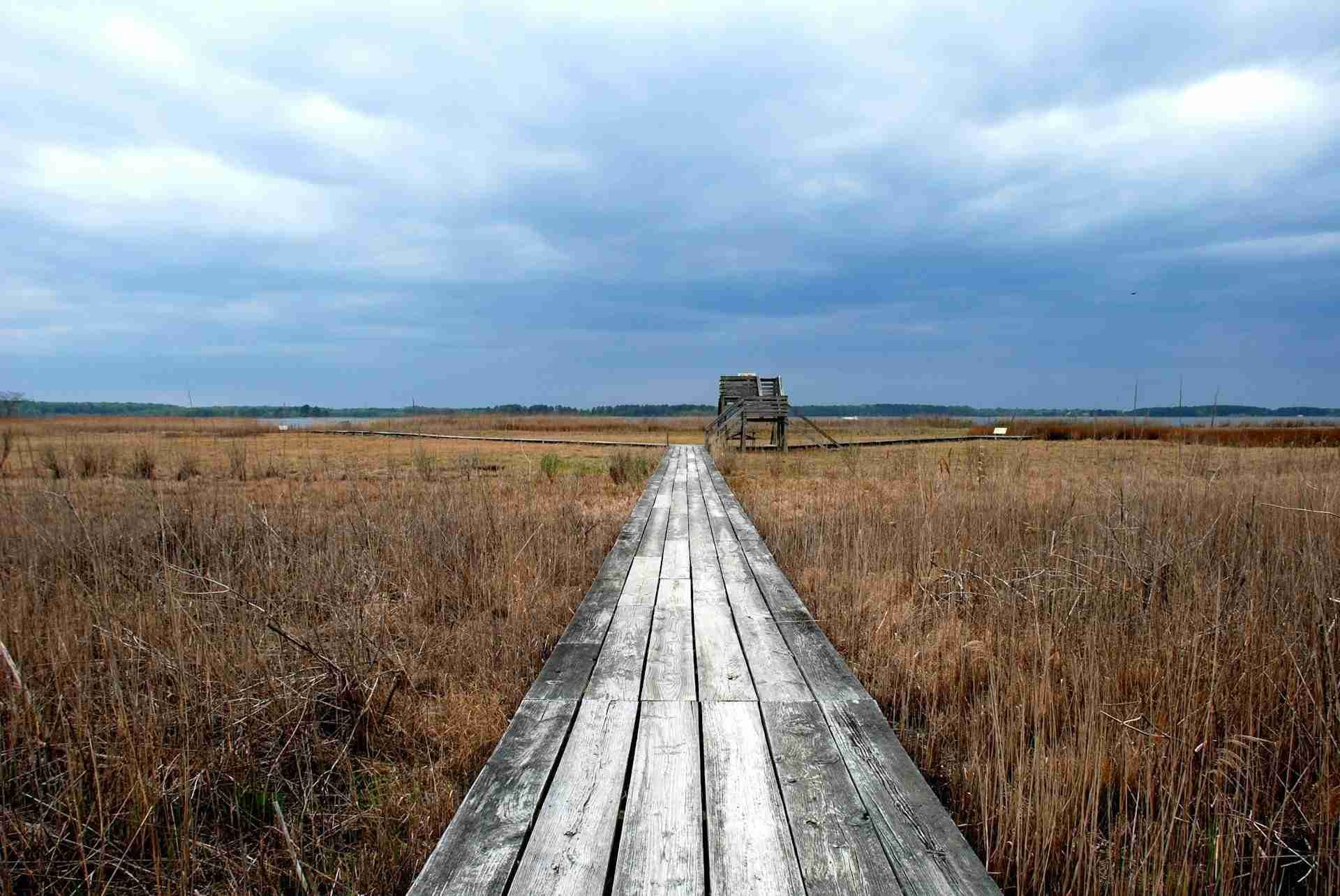 Chesapeake Bay Environmental Center