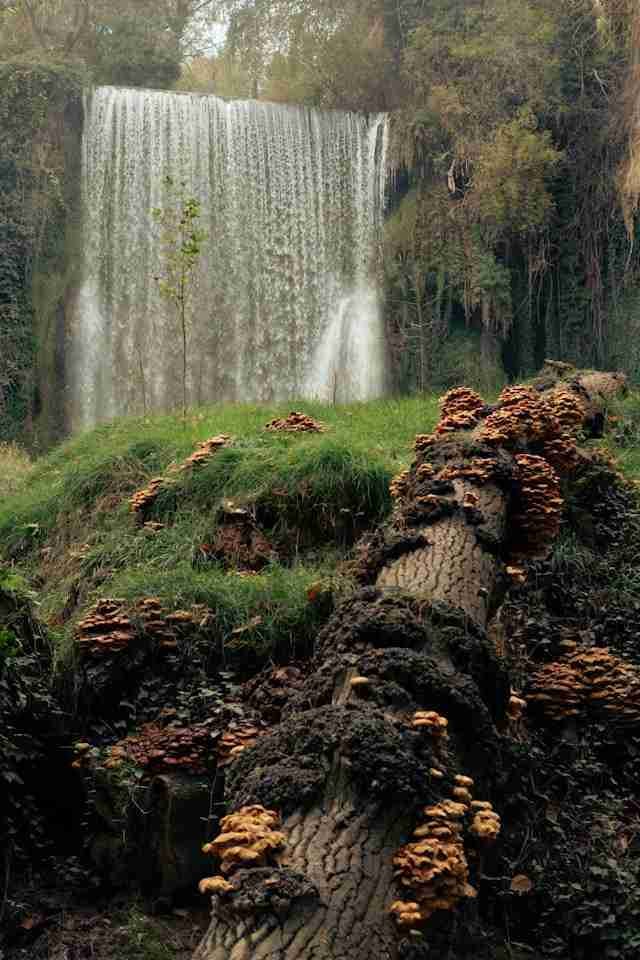 Cascada La Caprichosa