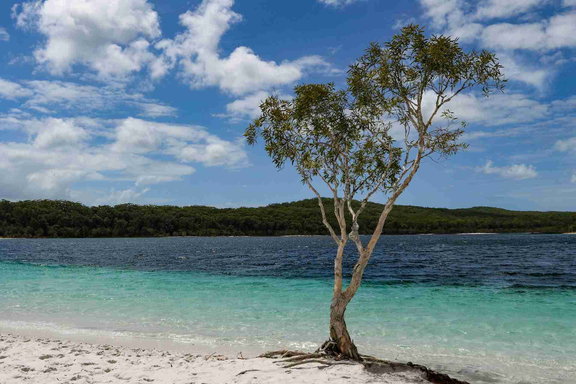 Lake Mckenzie (Boorangoora)