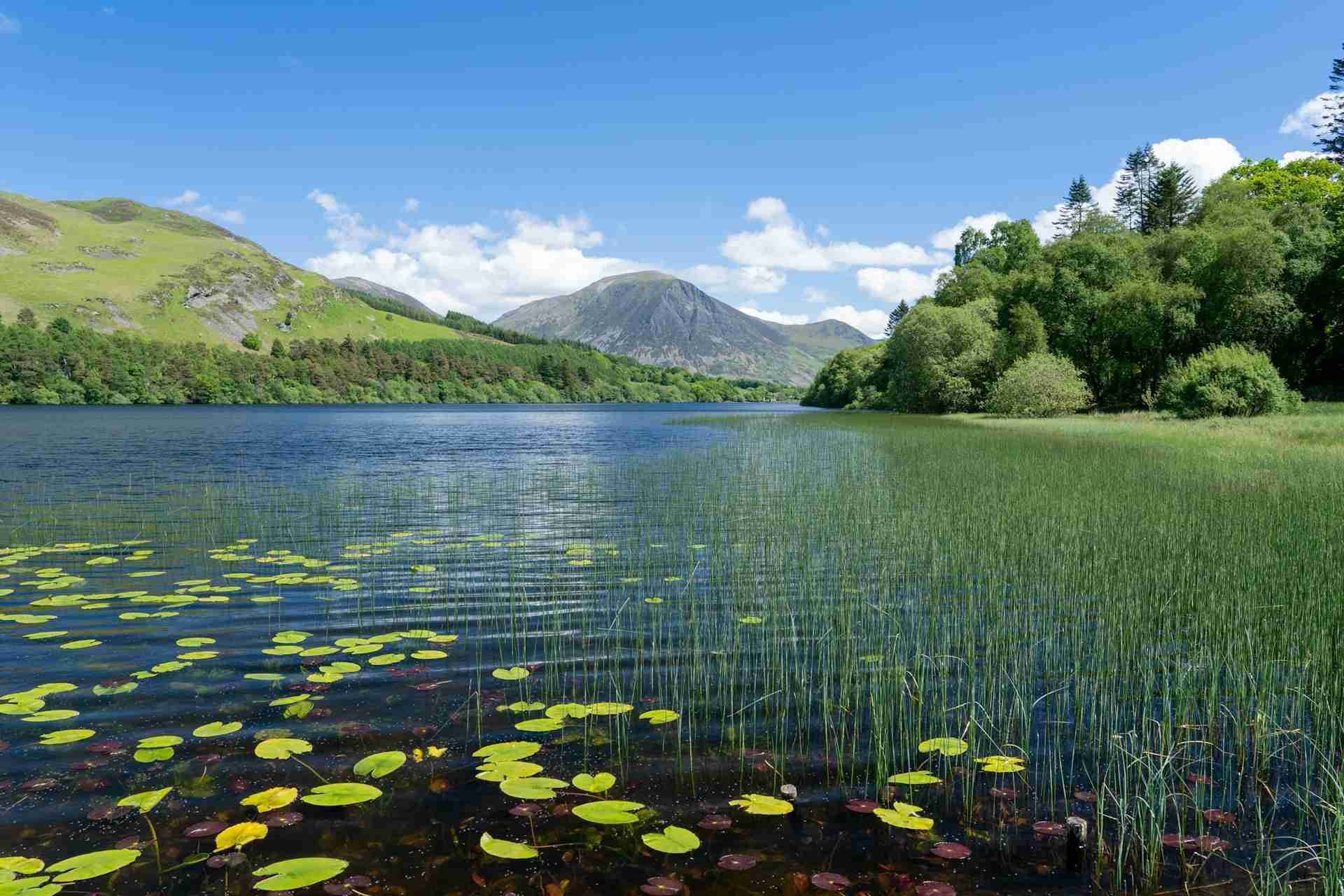 Loweswater