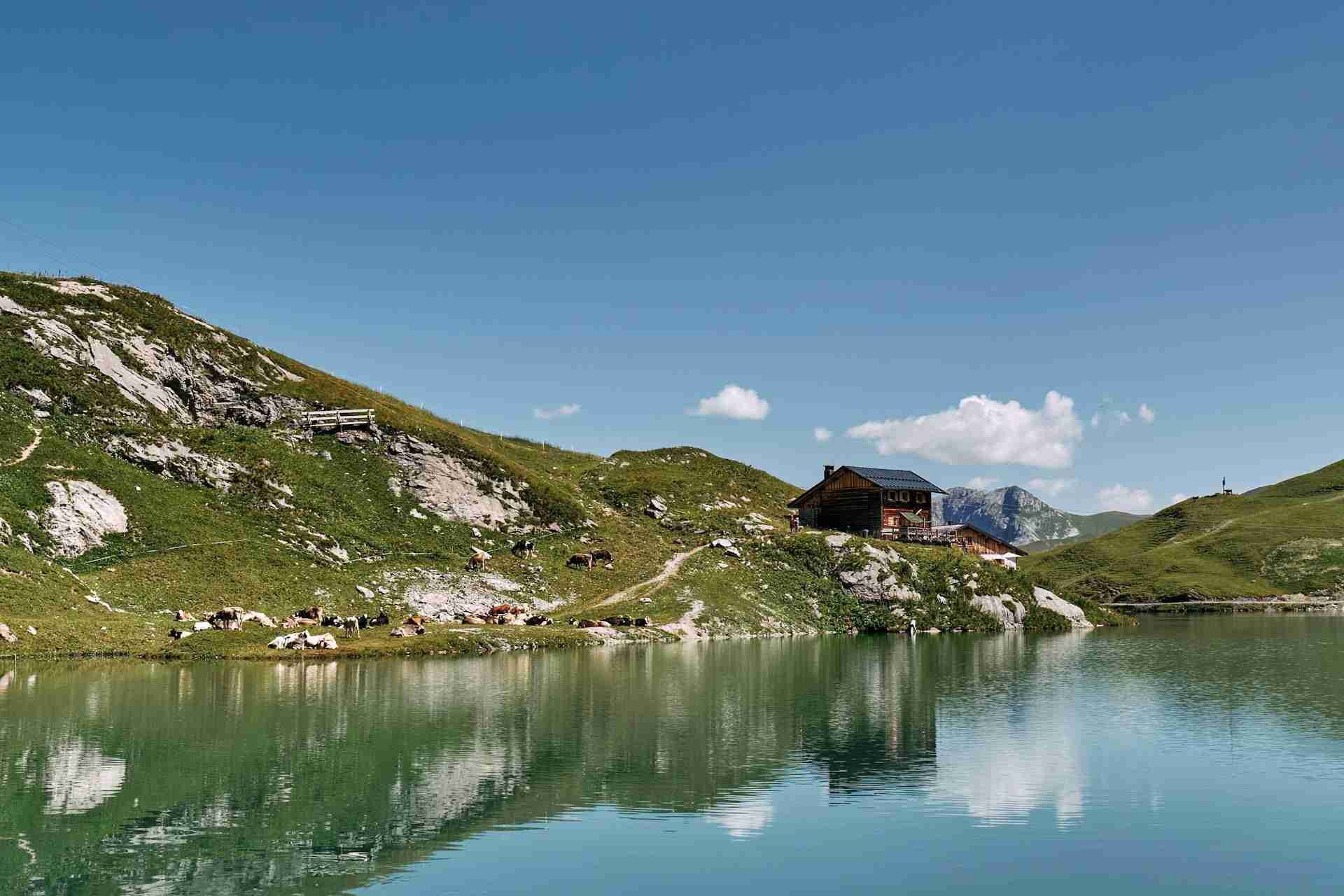 Zürser See