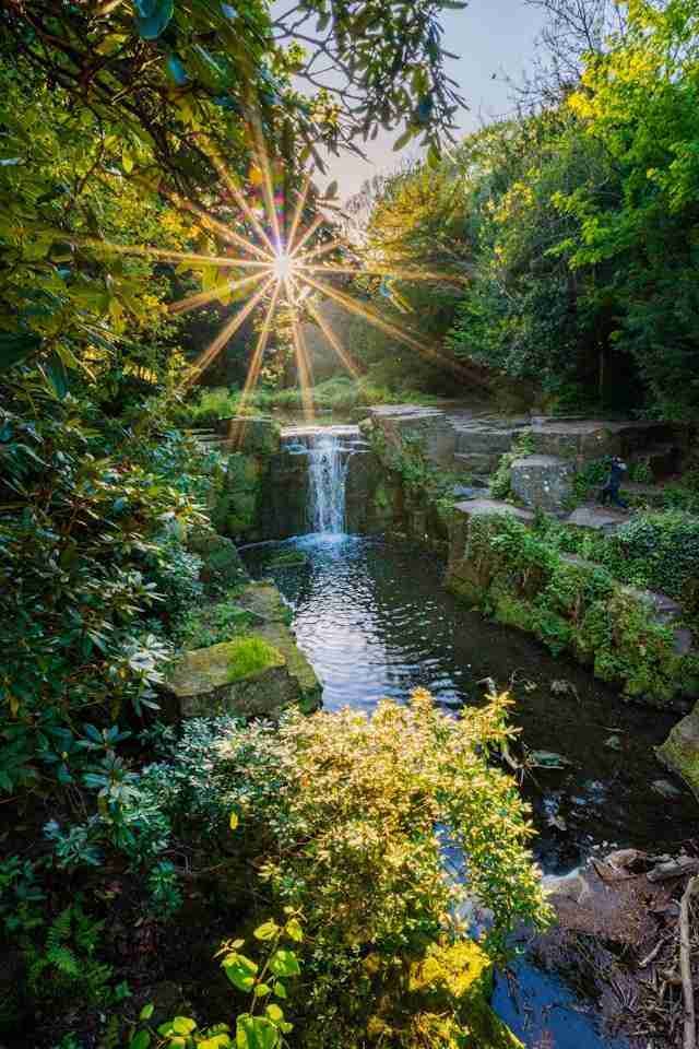 Jesmond Dene