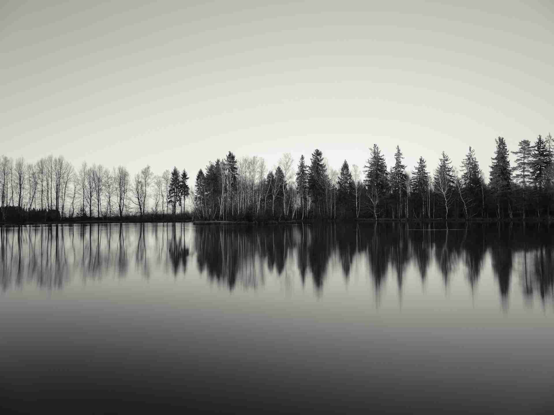Ziegelteich by Nils Leonhardt
