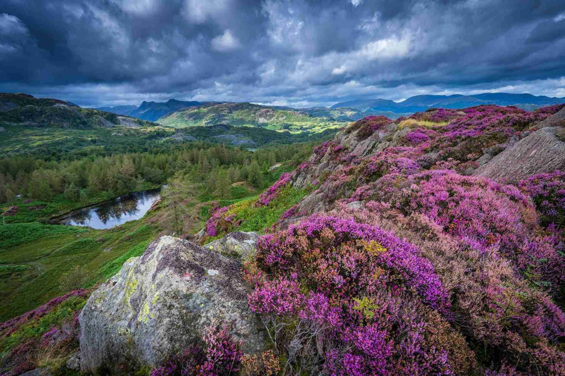Holme Fell