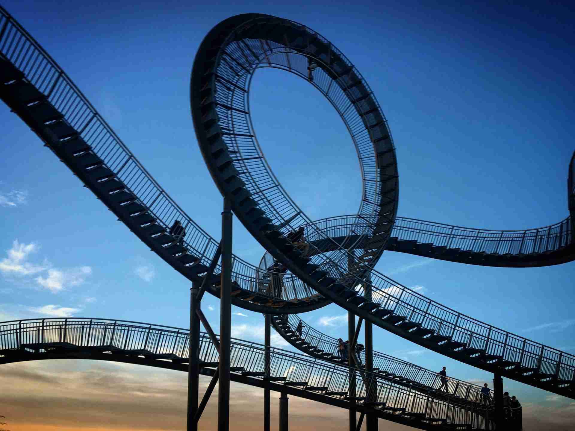 Tiger and Turtle by Sergei Gussev