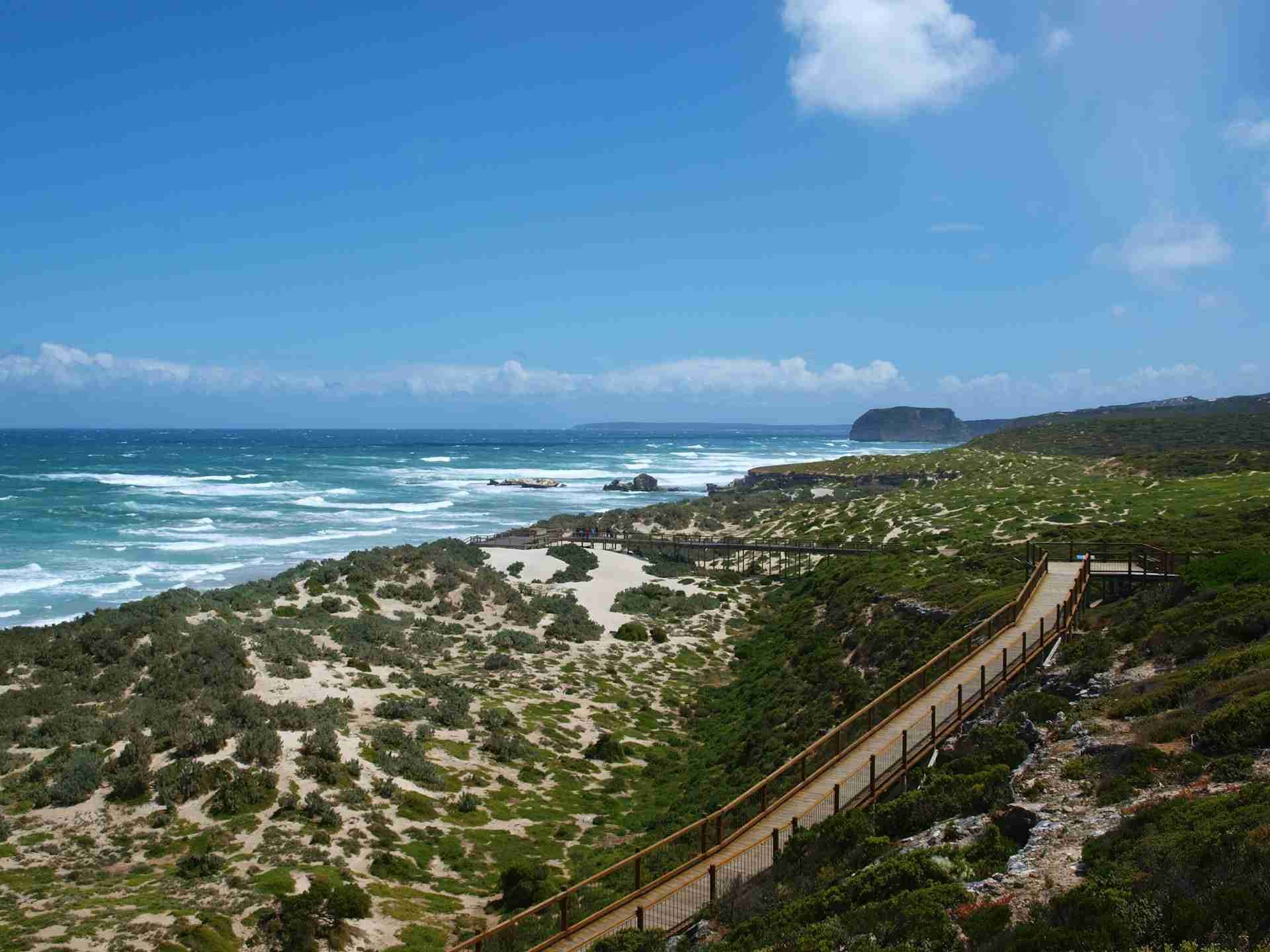Seal Bay Conservation Park