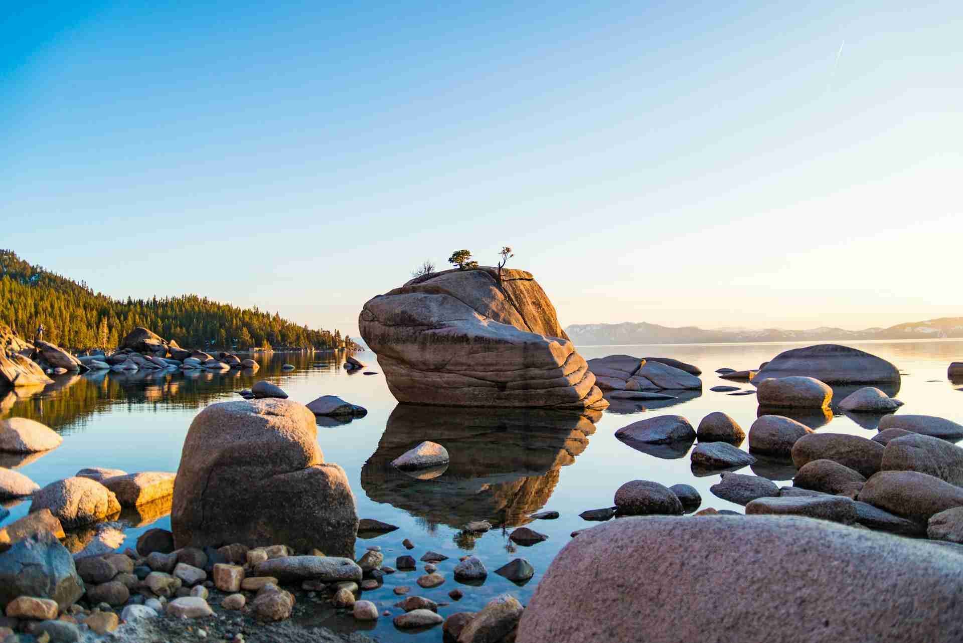 Bonsai Rock