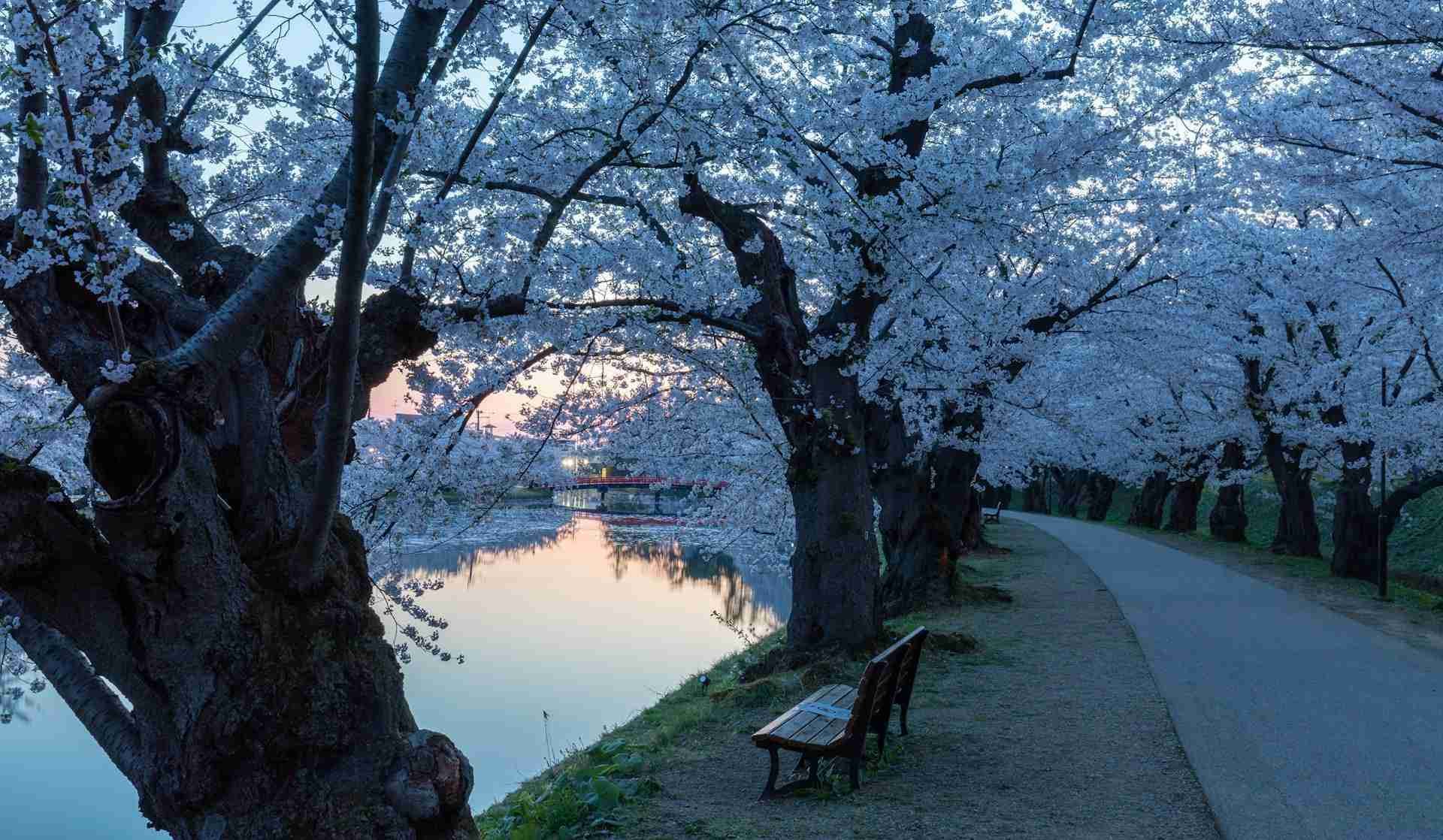 Hirosaki Park