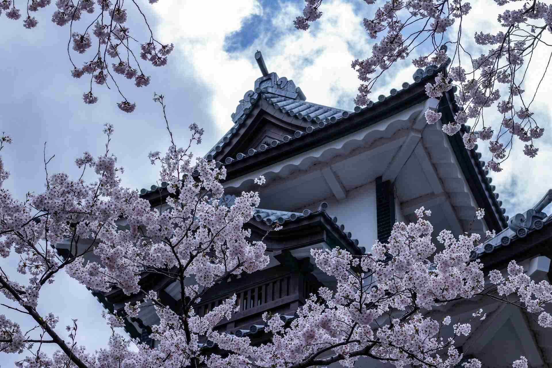 Kanazawa Castle by Robby McCullough