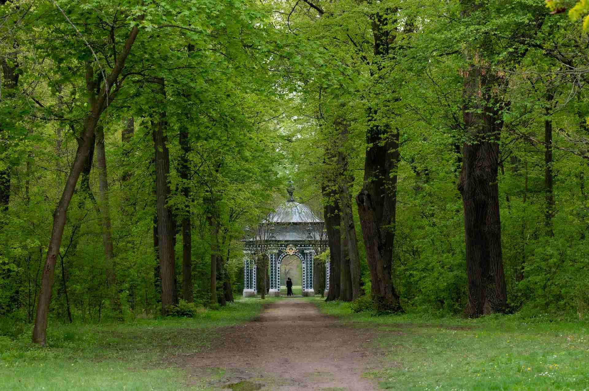 Laxenburg Castle Park by Carrie Borden