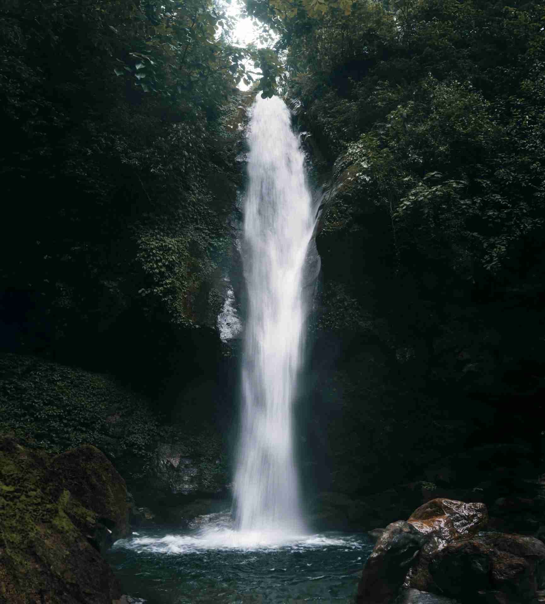 Kanchenjunga Falls by Neeraj Pramanik