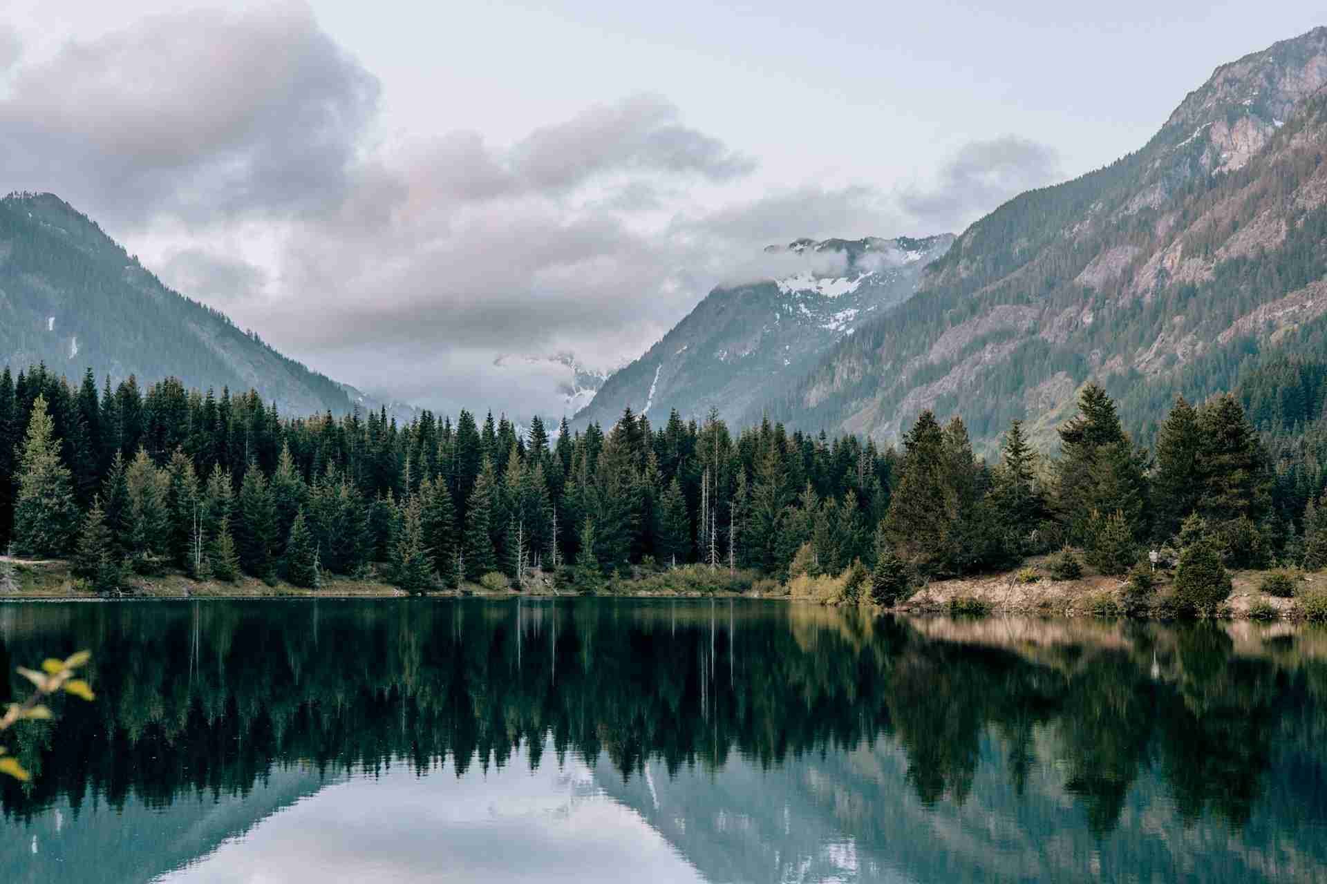 Gold Creek Pond