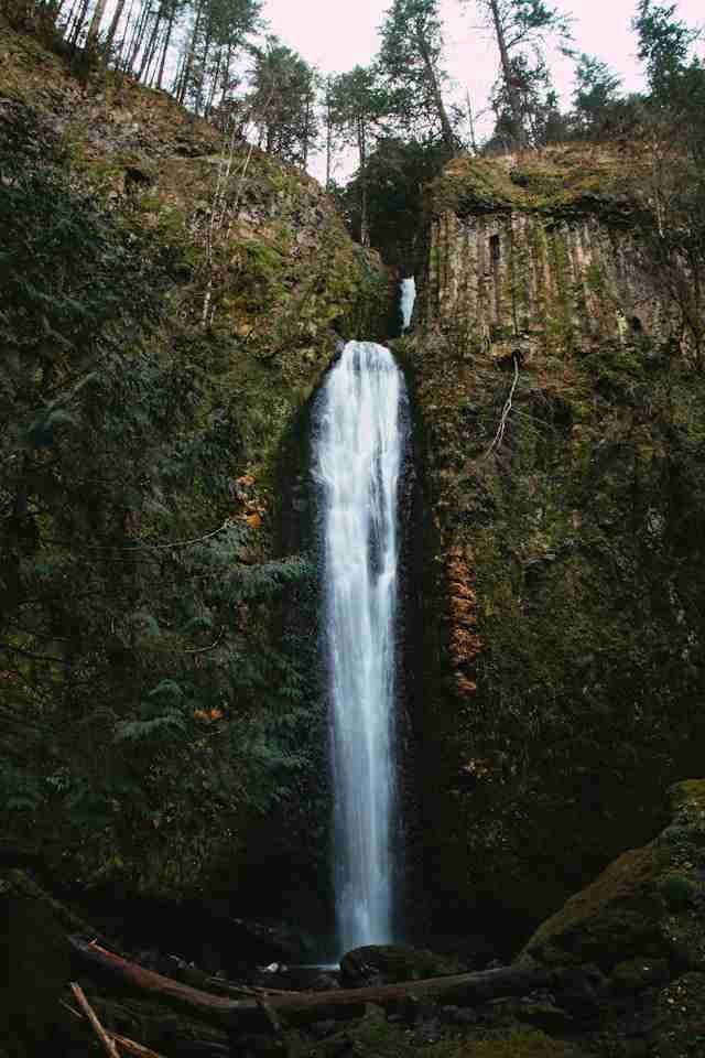 Gorton Creek Falls