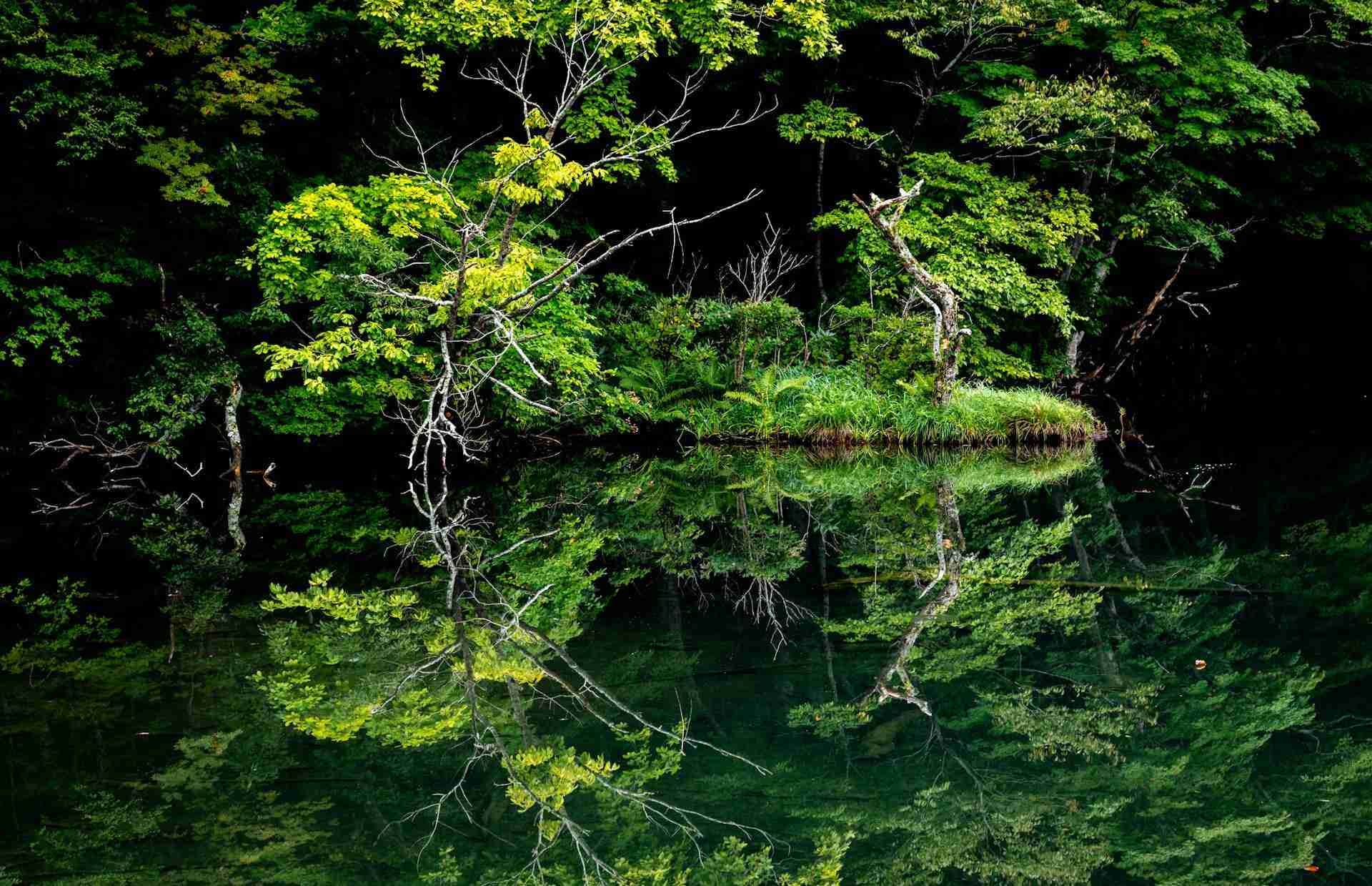 Tsutanuma Pond
