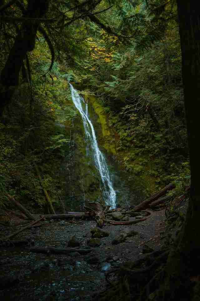 Madison Creek Falls by Alex Moliski