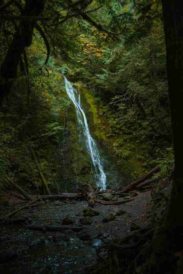 Madison Creek Falls