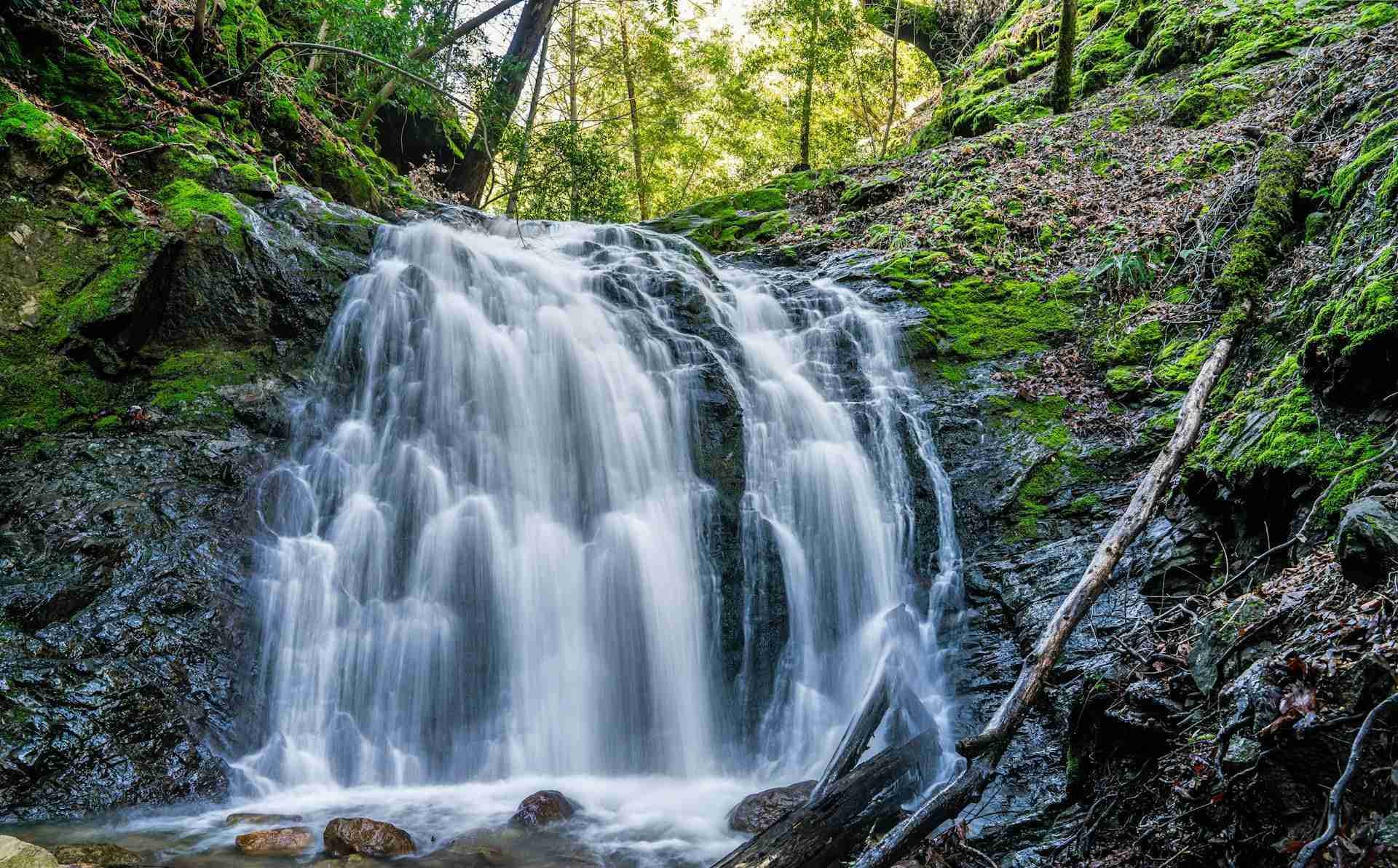 Uvas Falls Uvas Canyon County Park