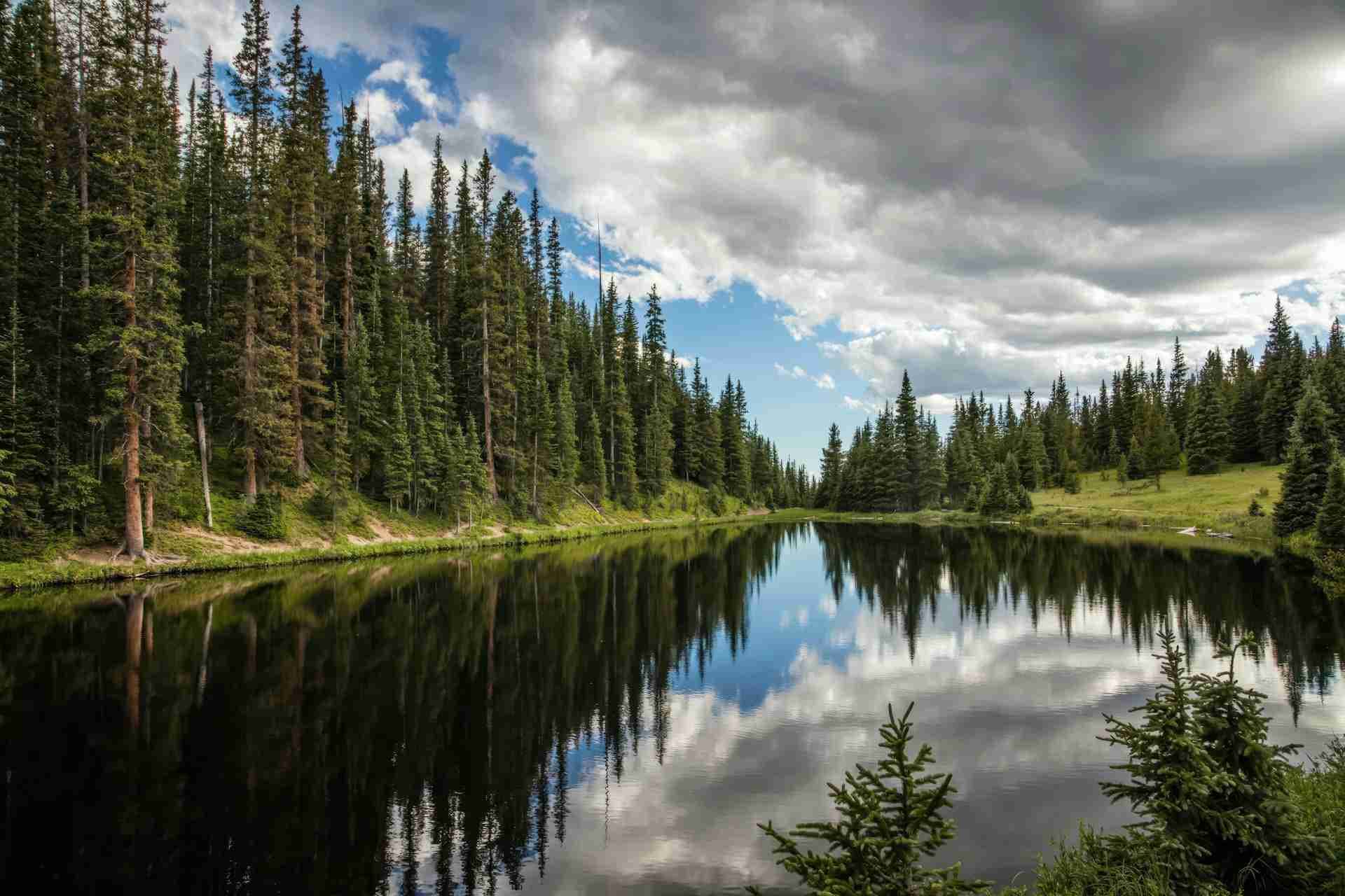 Lake Irene by Carol Highsmith’s America