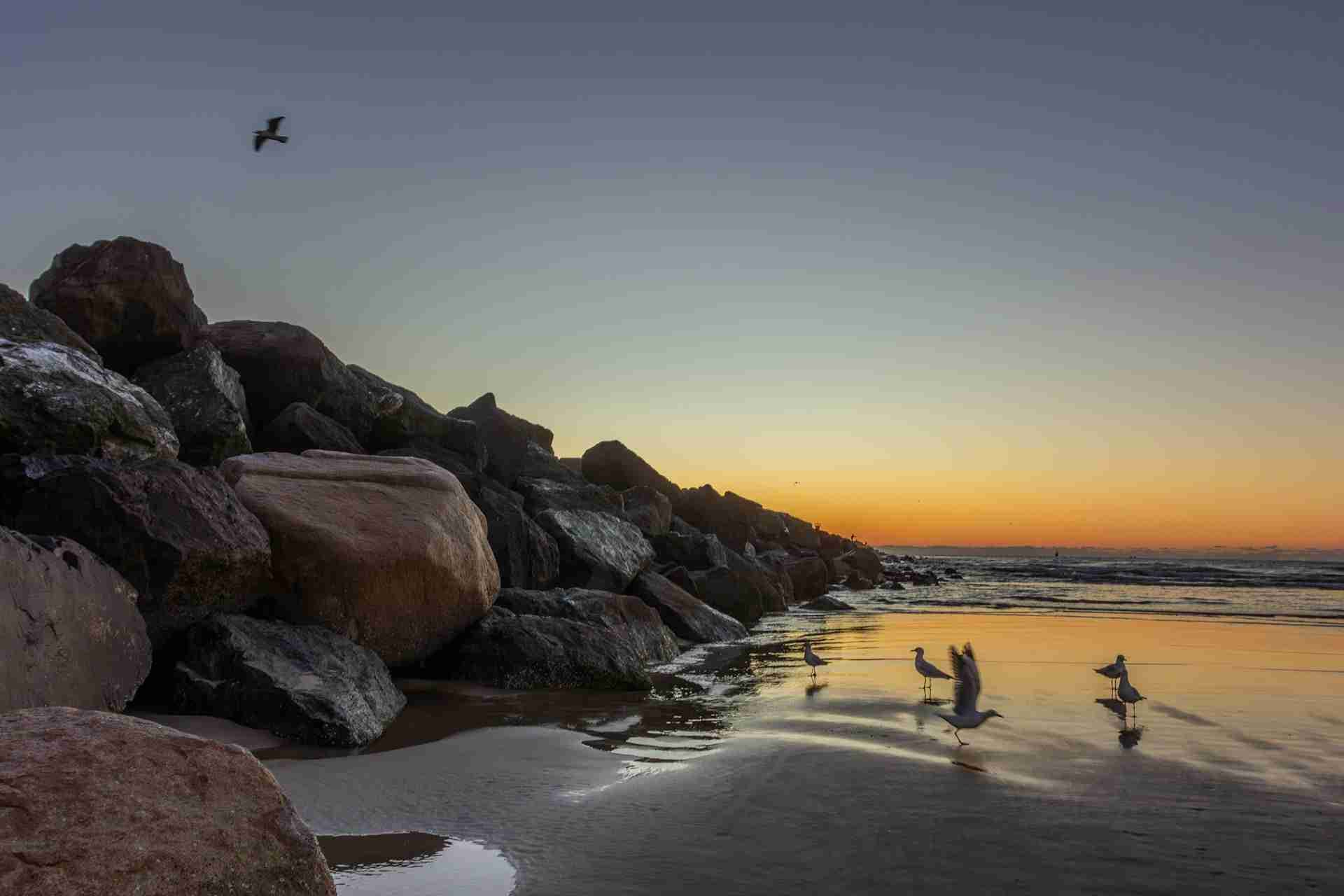 The Spit Gold Coast