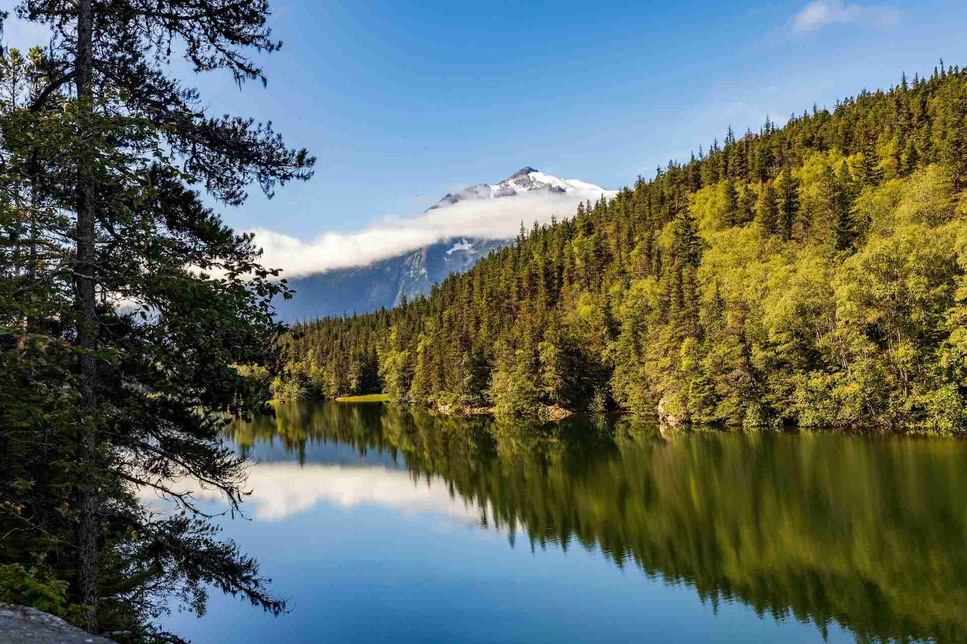 Lower Dewey Lake by Lori Stevens
