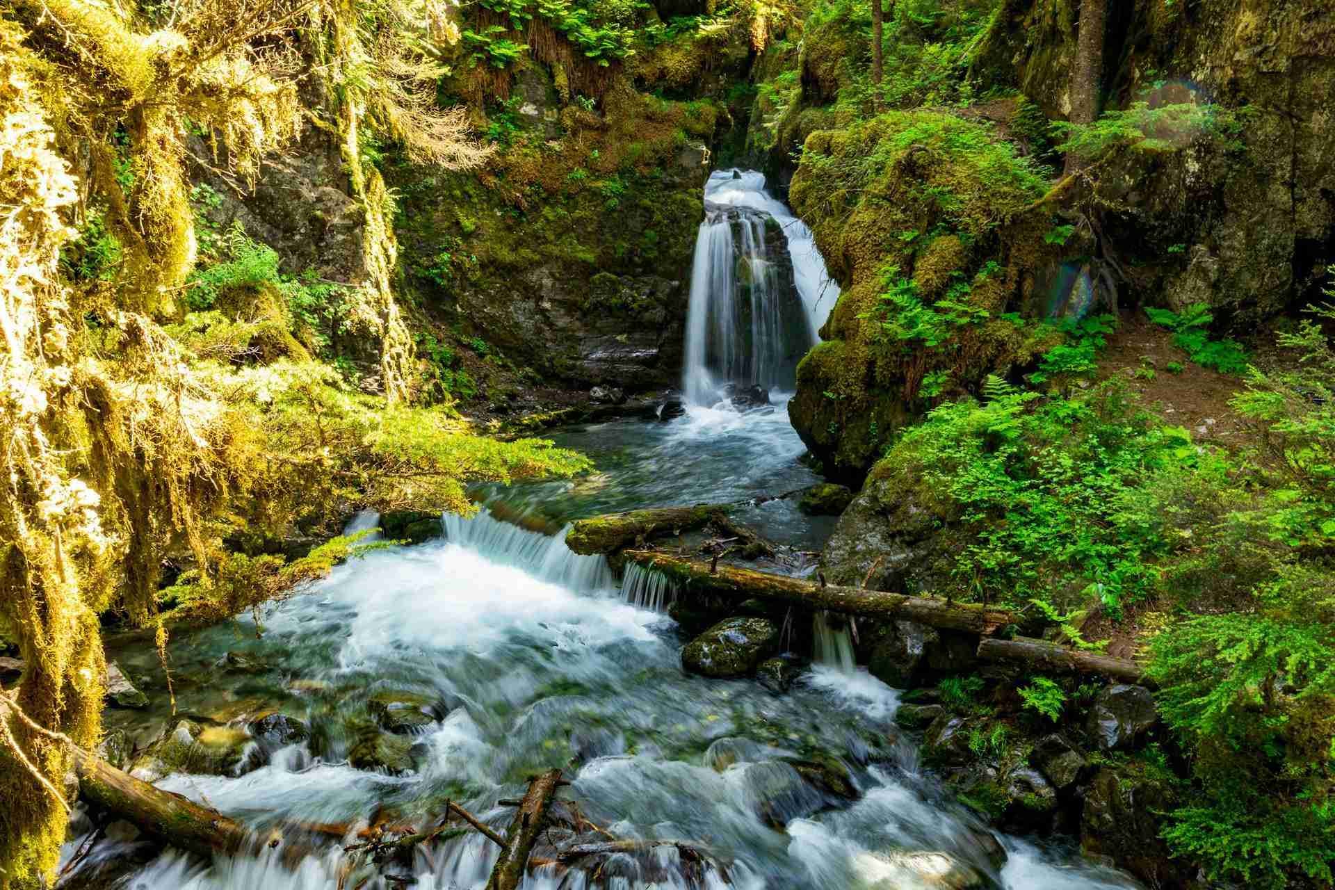 Virgin Creek Falls