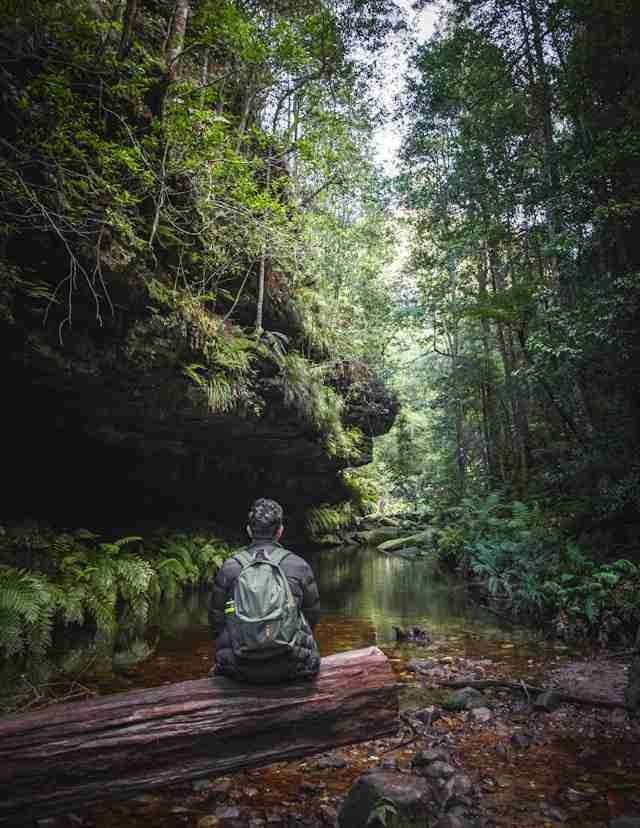 Grand Canyon Walking Track – Blue Mountains