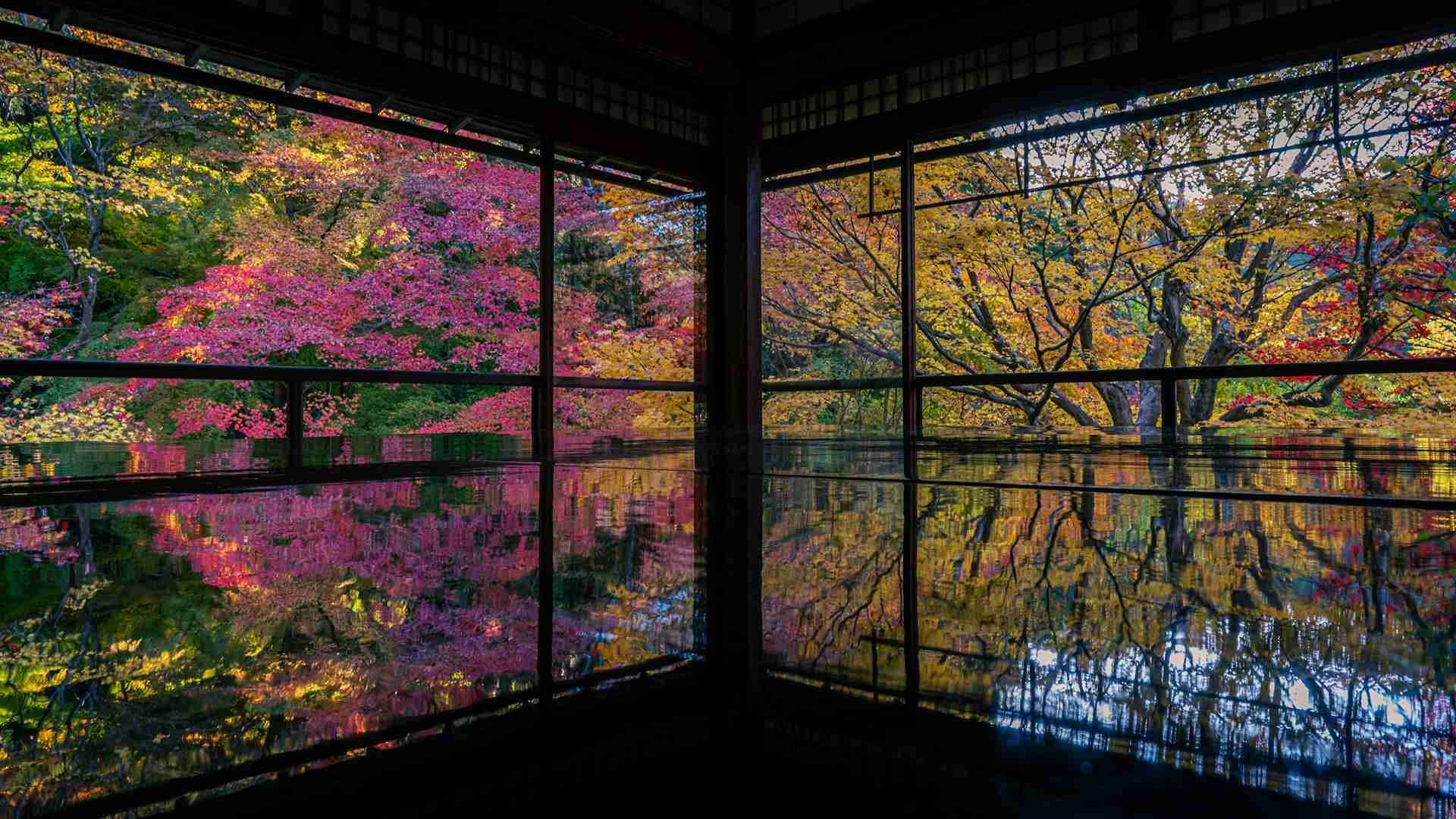 Rurikō-in Temple by Raphael Lopes