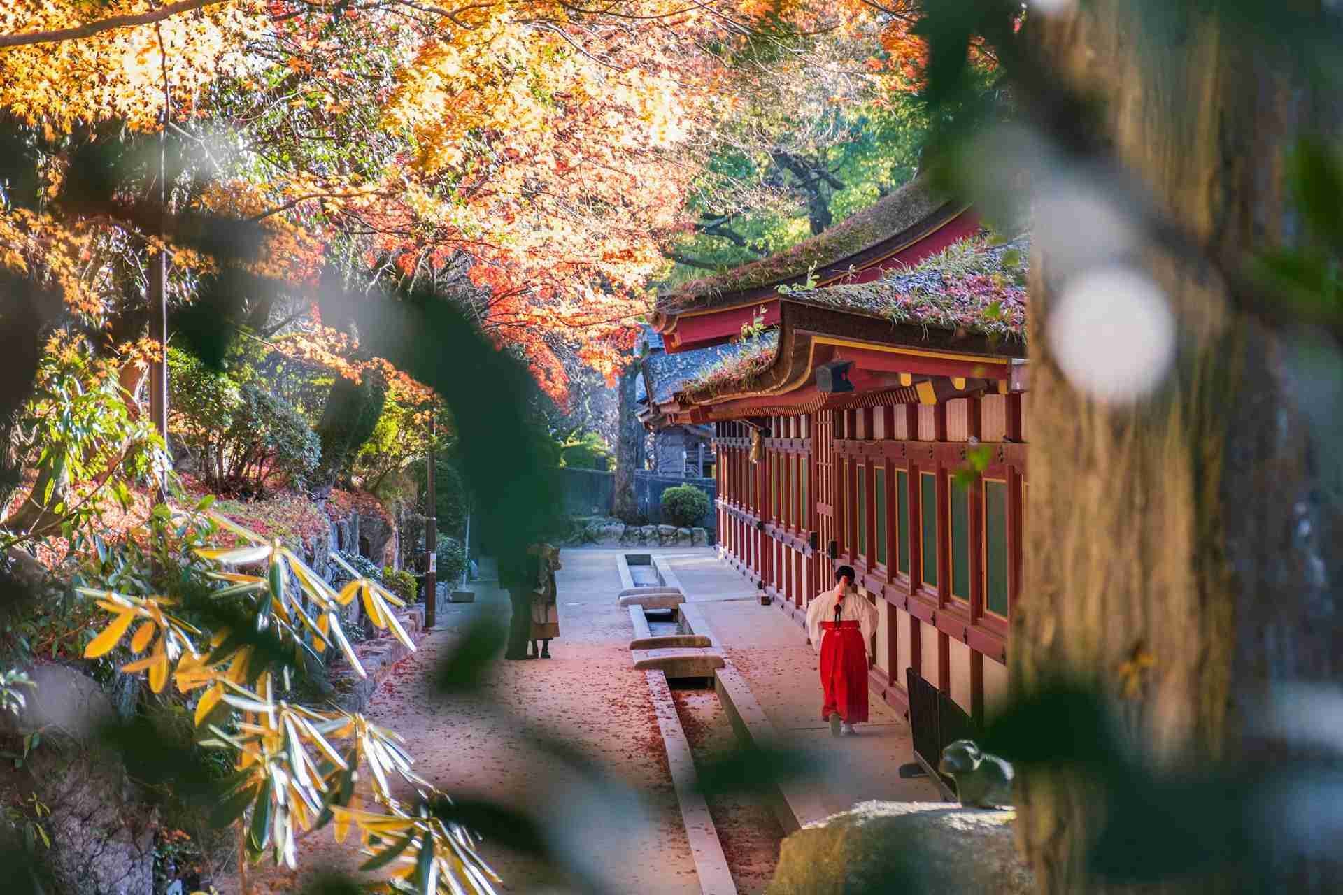 Dazaifu Tenmangu Shrine
