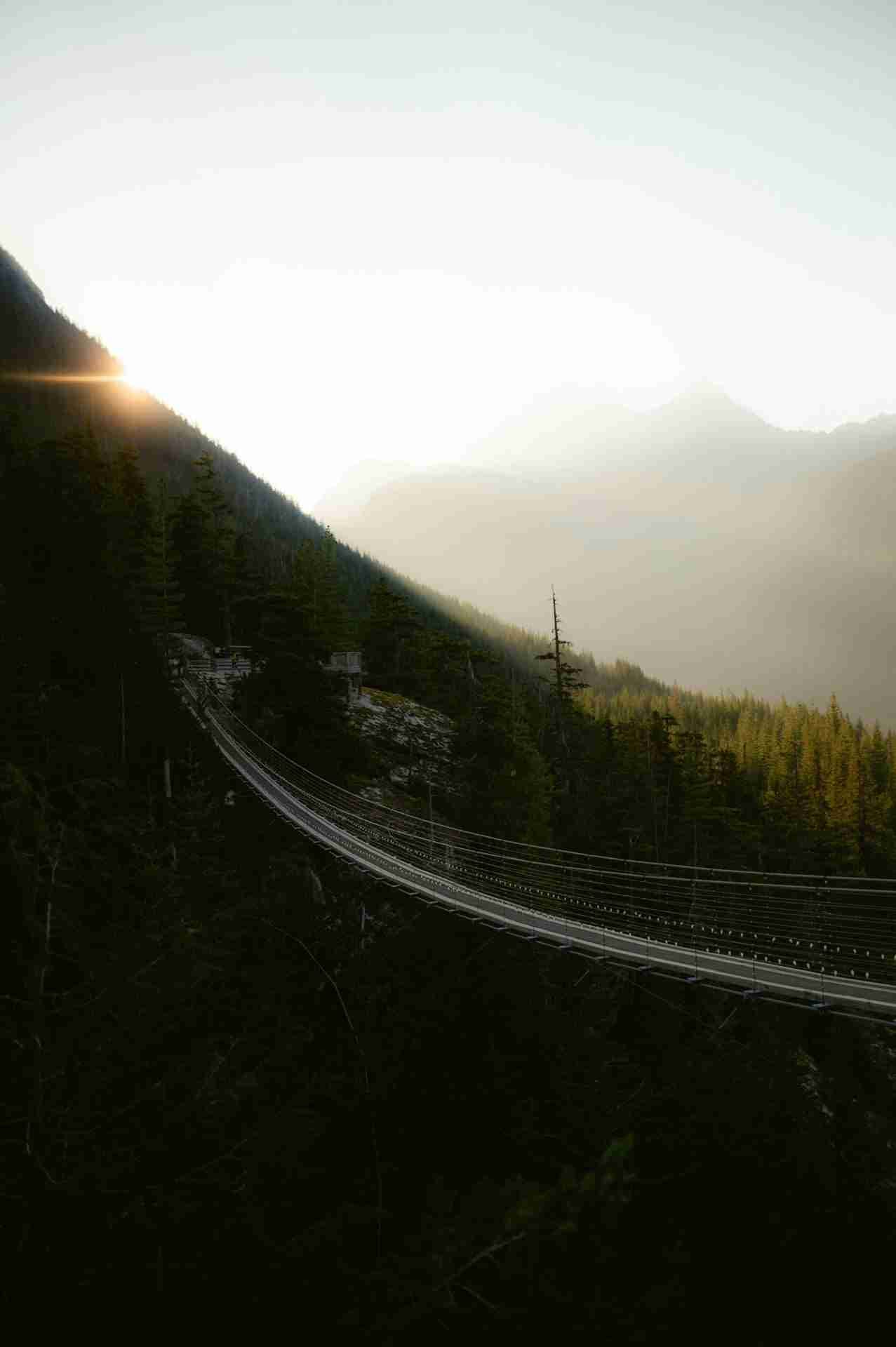 Sky Pilot Suspension Bridge