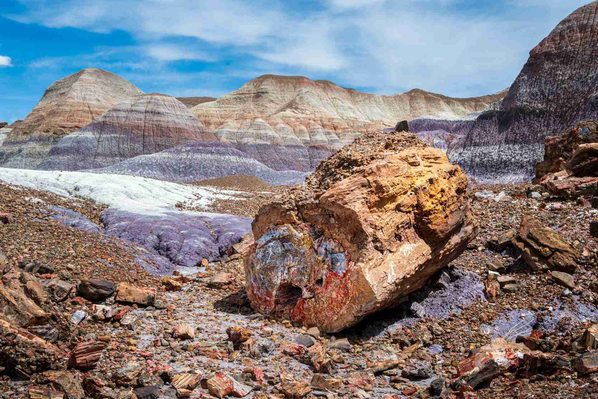 Blue Mesa Trail Petrified Forest National Park