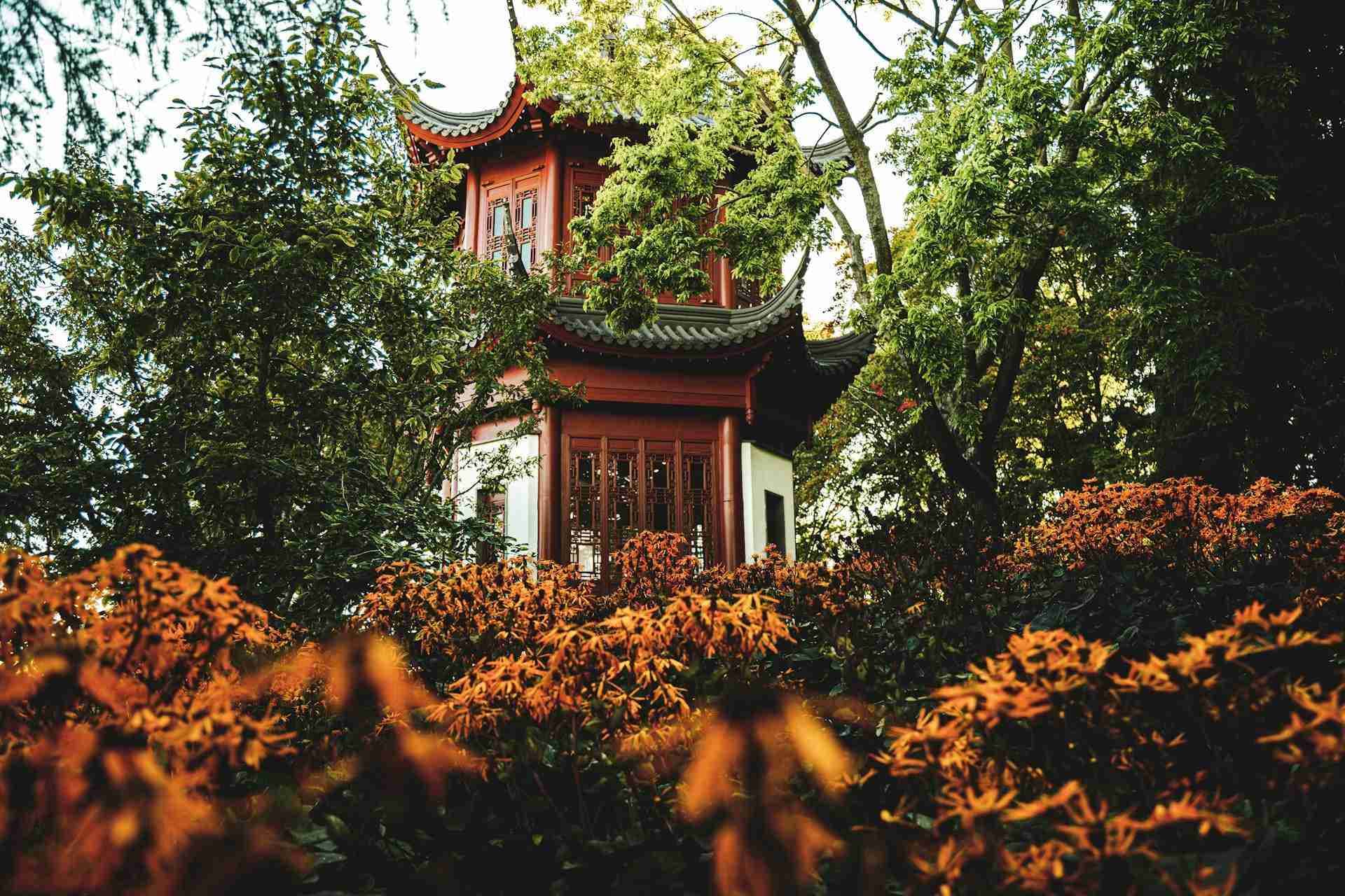 Chinese Garden, Jardin botanique de Montréal by Nick Brice
