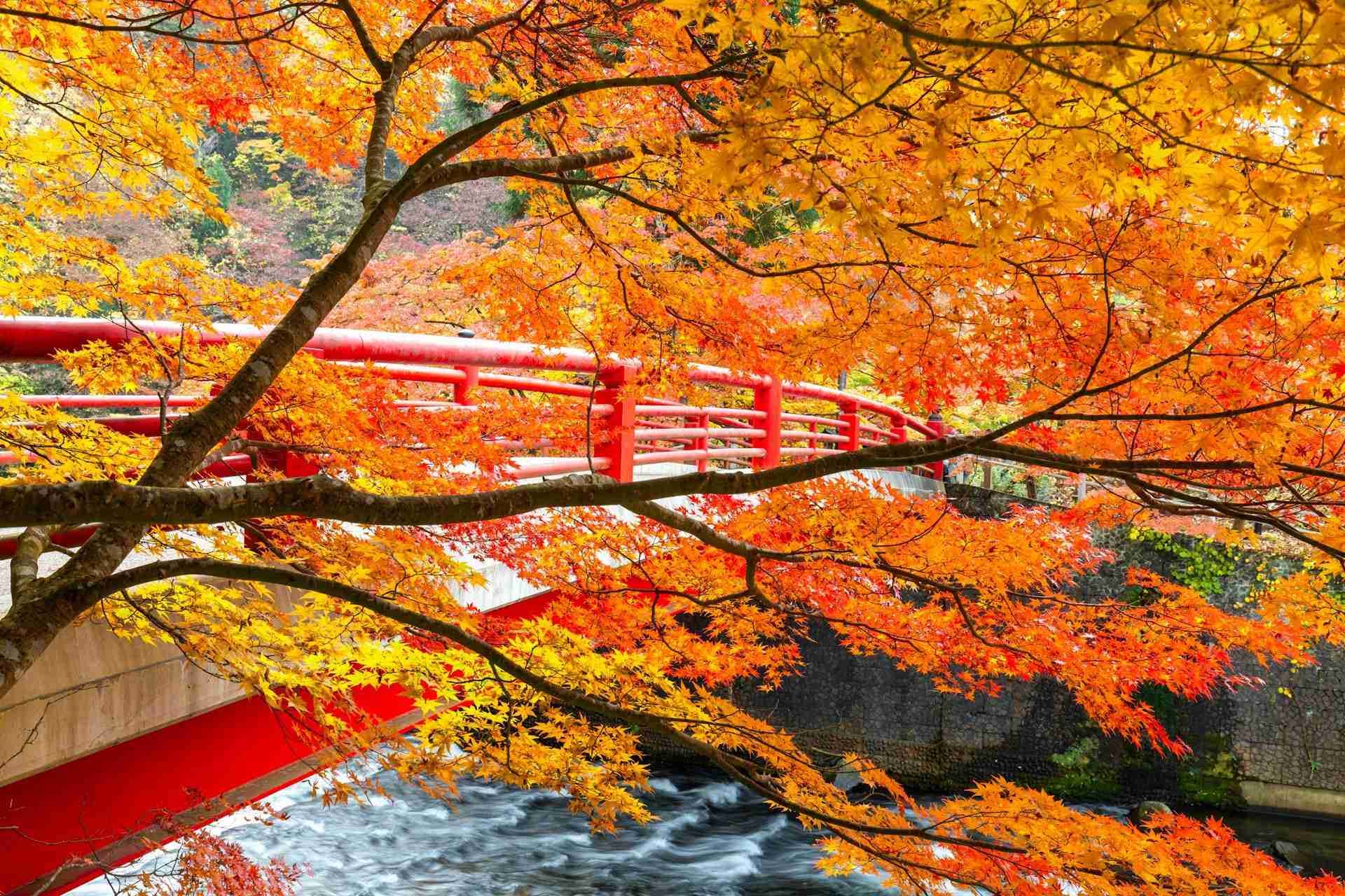 Nakano Momijiyama