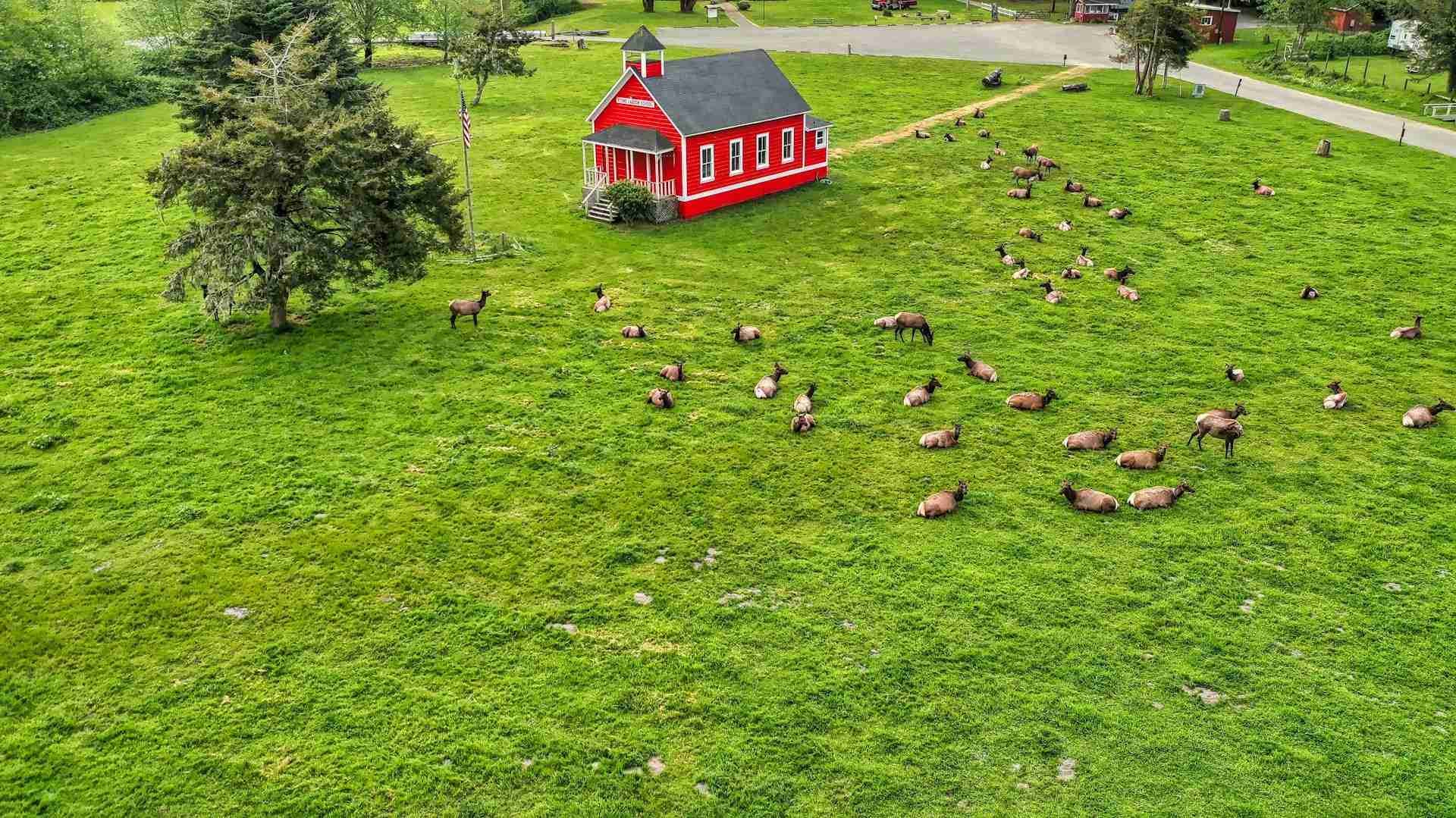Stone Lagoon Red Schoolhouse
