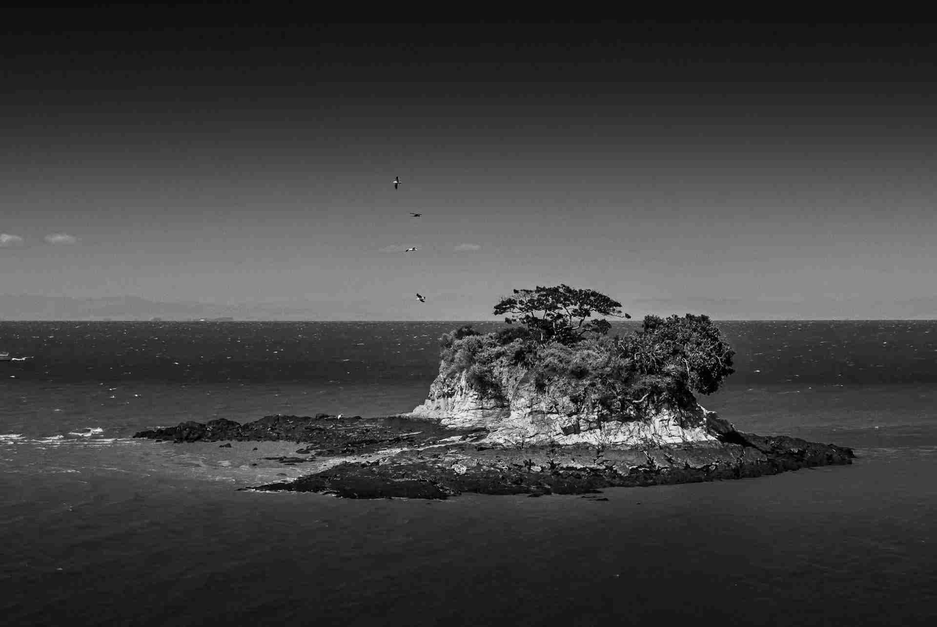 Rat Rock Island by Dennis Yu