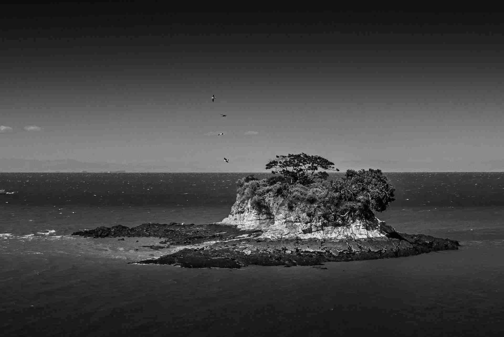 Rat Rock Island and Rat Rock Cove