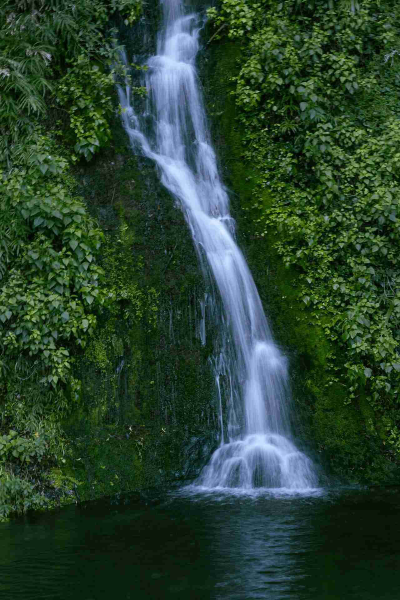 Centennial Garden Waterfall by Charlie Charoenwattana