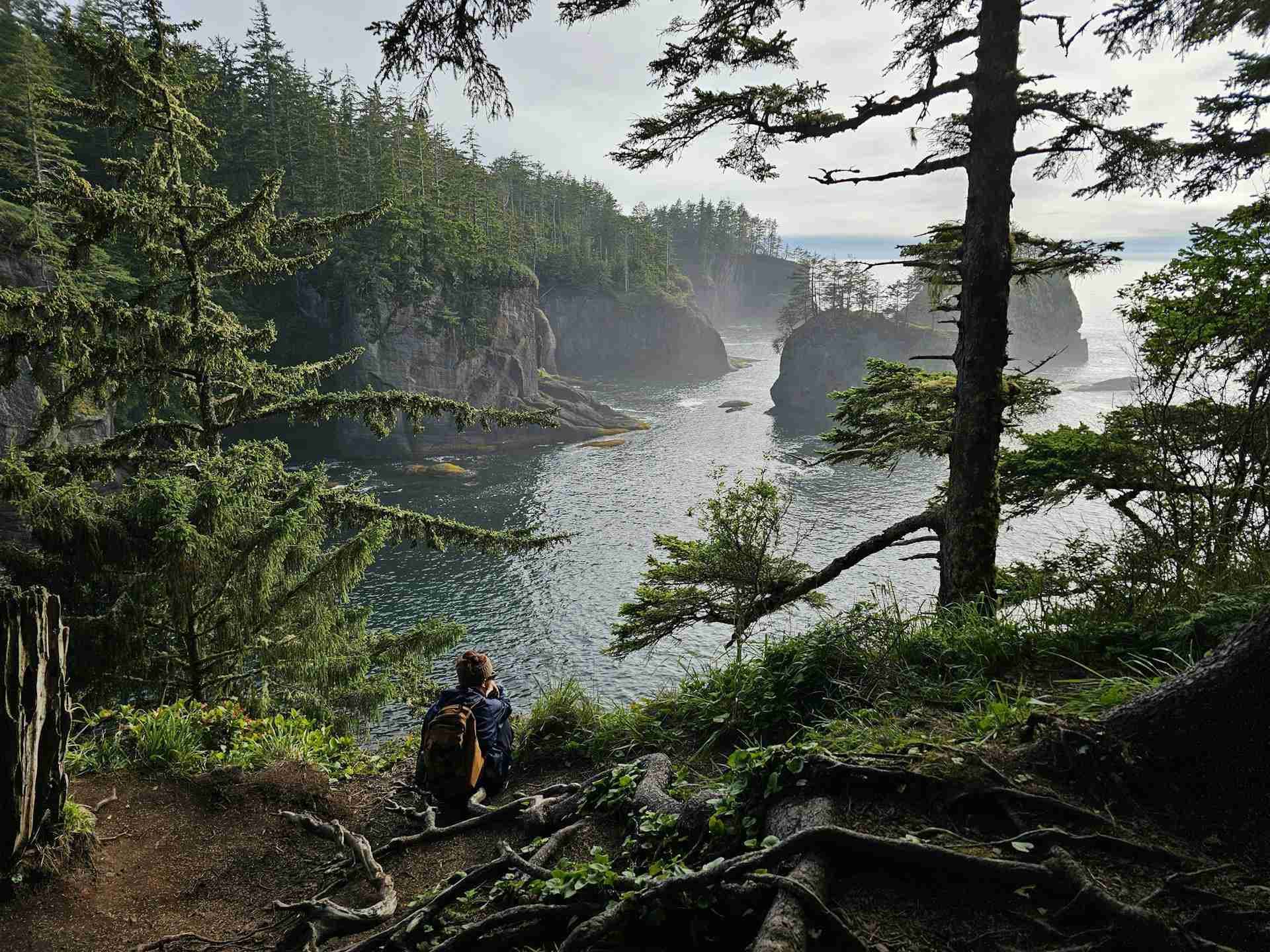 Cape Flattery by Hasmik Ghazaryan Olson