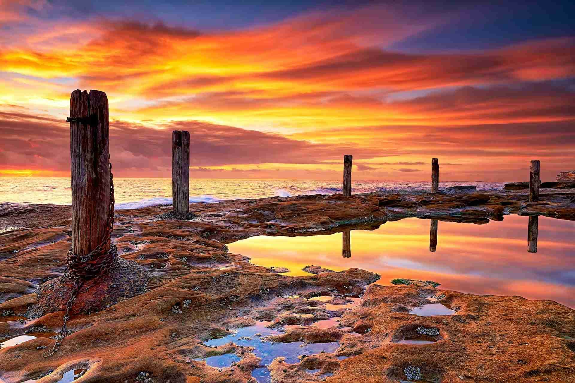 Ivo Rowe Rock Pool