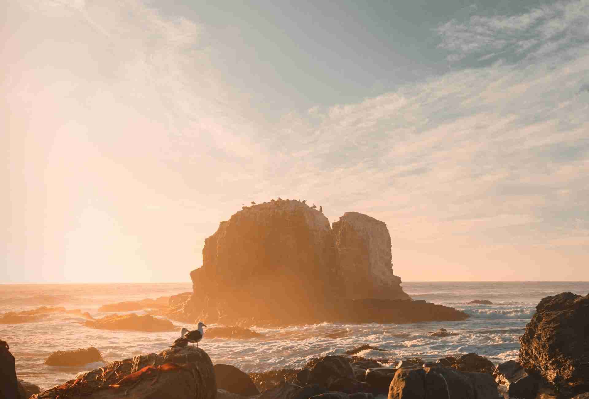 Punta de Lobos by Cristian Castillo