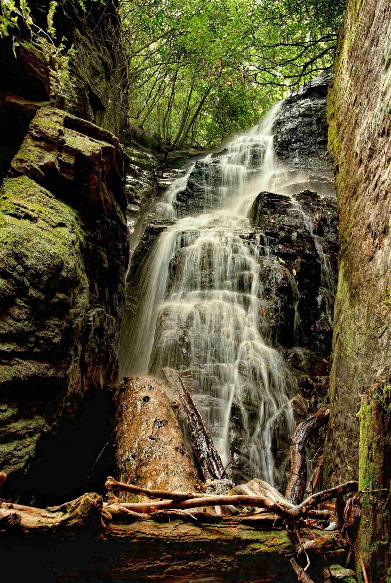 Raven Cliff Falls